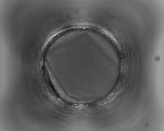 X0000098011352200804181124