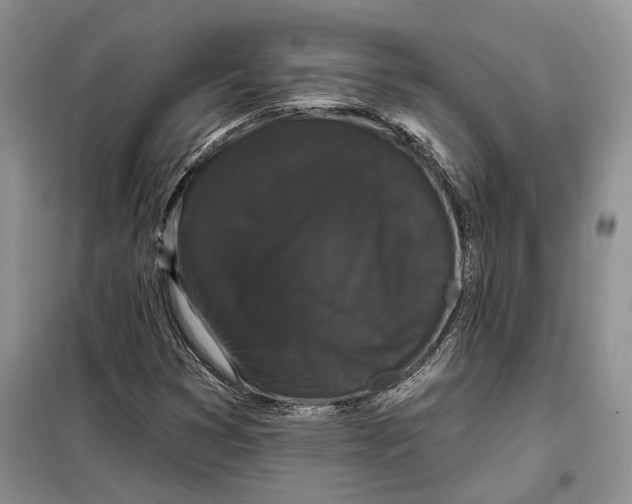 X0000098011353200804181124