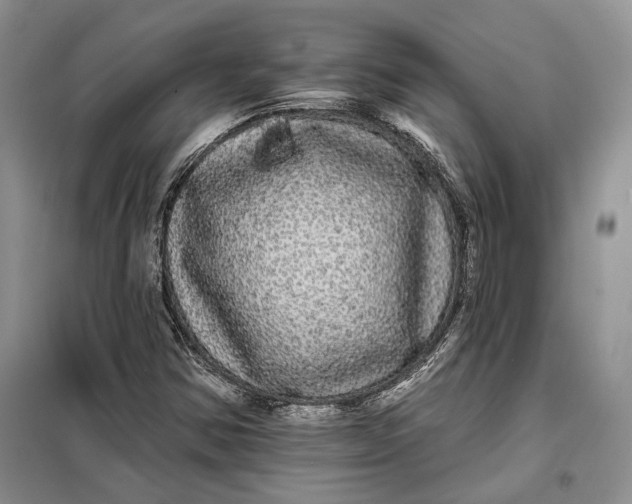 X0000098011354200804181124