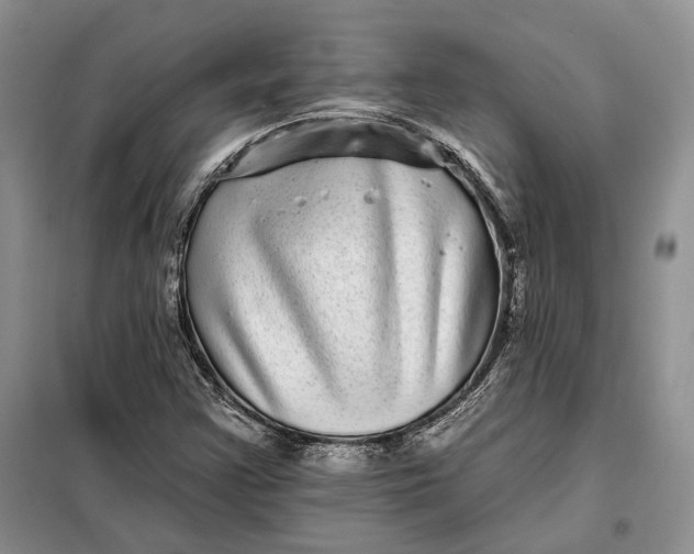 X0000098011355200804181124