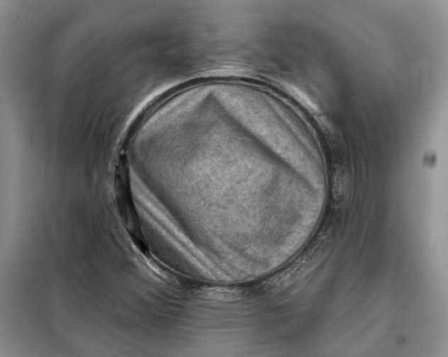 X0000098011356200804181124