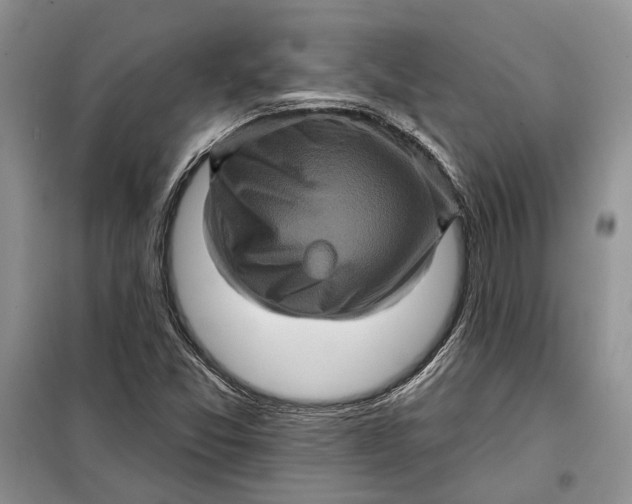 X0000098011357200804181124