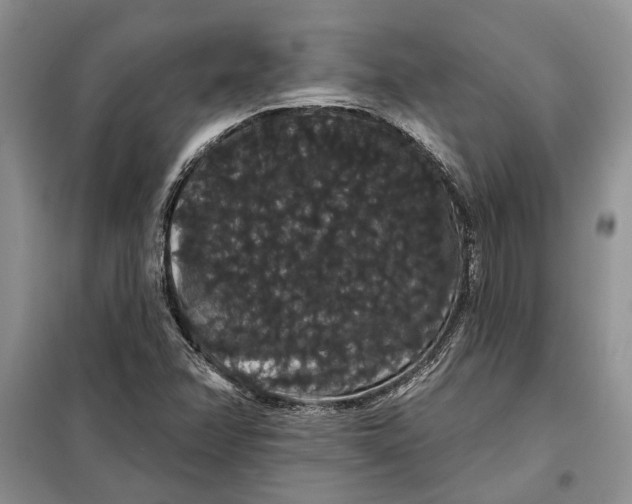 X0000098011358200804181124