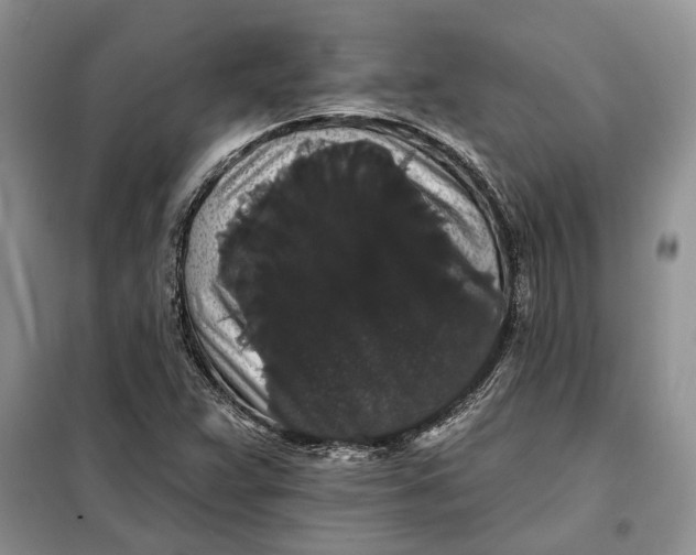 X0000098011359200804181124