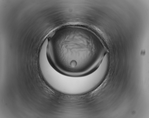 X0000098011361200804181124