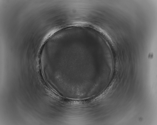 X0000098011362200804181124