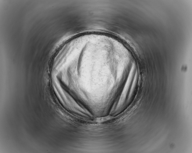 X0000098011363200804181124