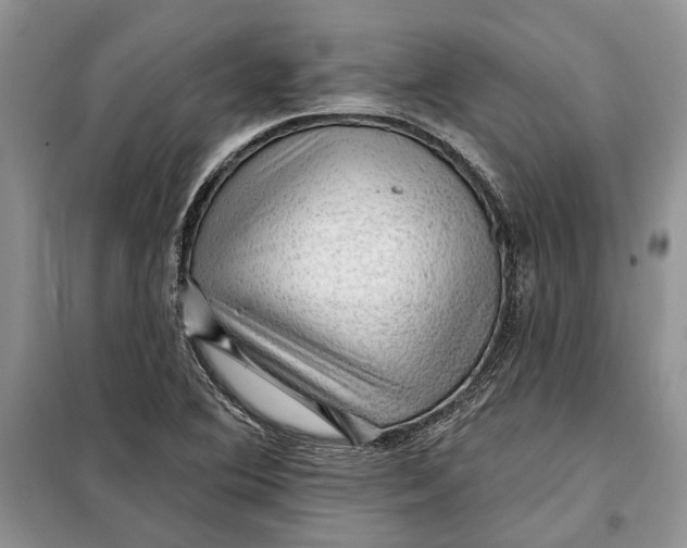 X0000098011364200804181124