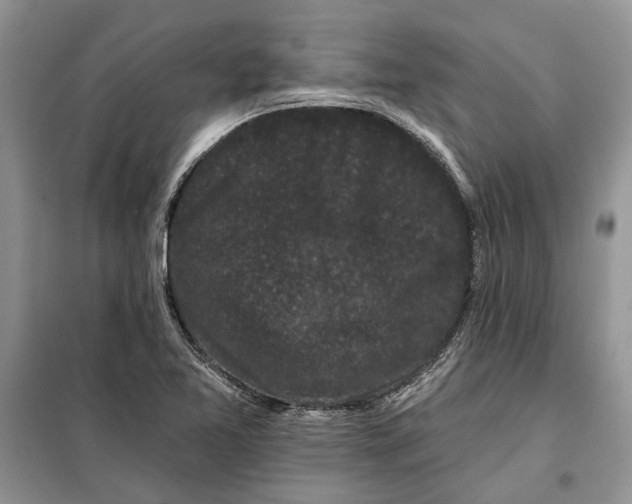 X0000098011365200804181124