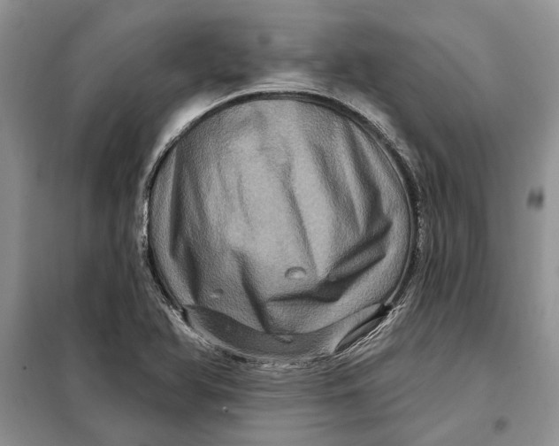 X0000098011366200804181124