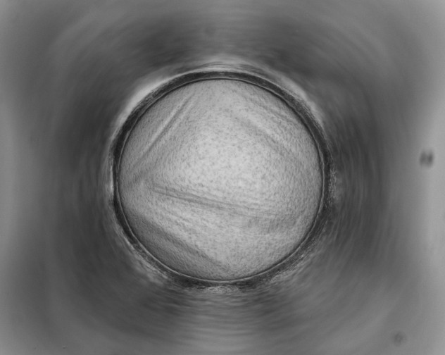 X0000098011368200804181124