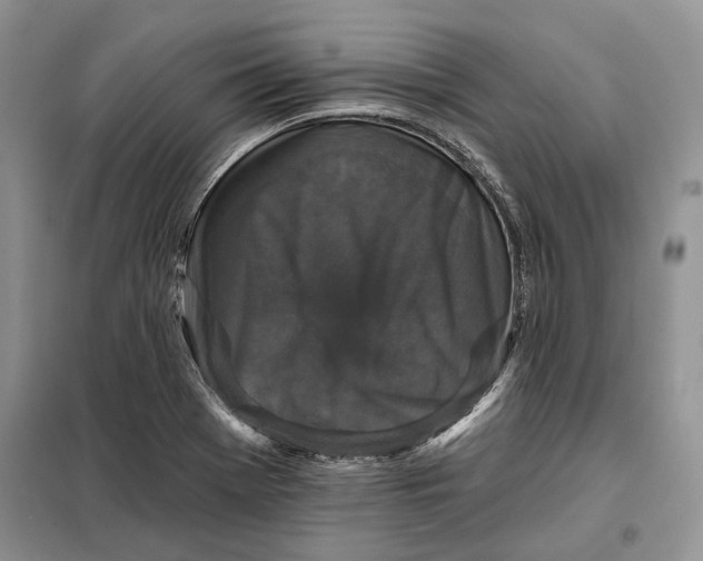 X0000098011369200804181124