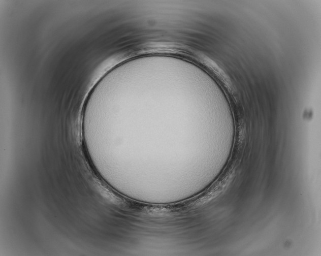 X0000098011370200804181124