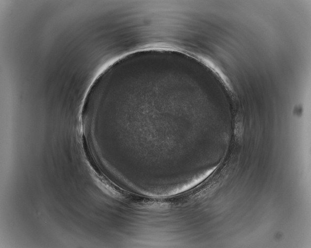 X0000098011372200804181124