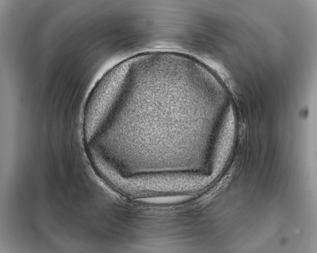 X0000098011374200804181124