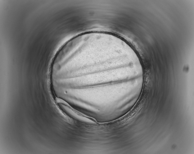 X0000098011375200804181124