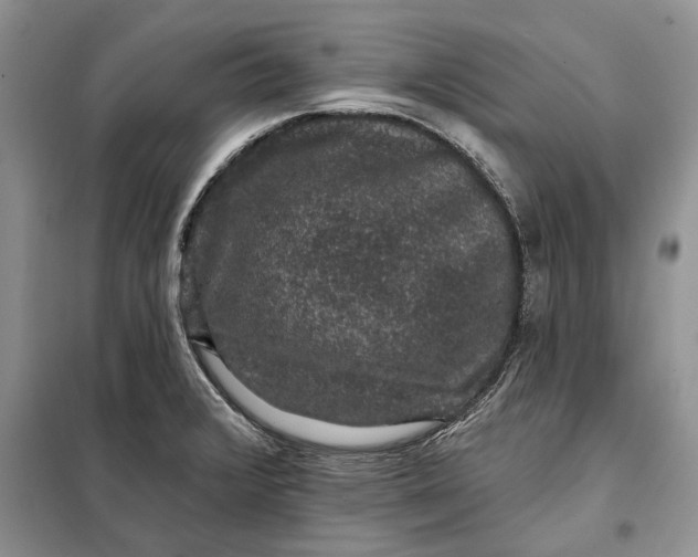 X0000098011376200804181124