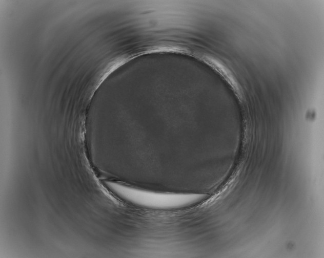 X0000098011377200804181124