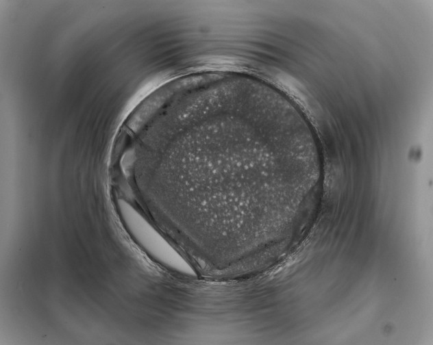 X0000098011378200804181124