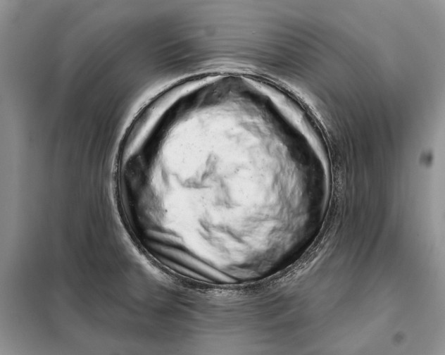 X0000098011379200804181124