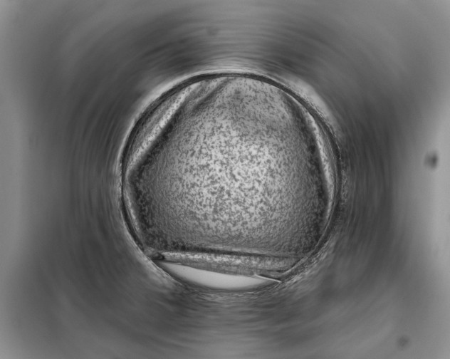 X0000098011380200804181123