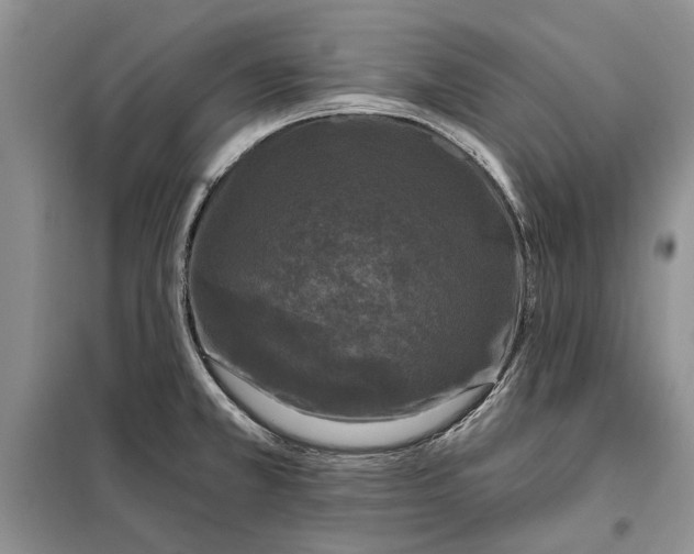 X0000098011381200804181123