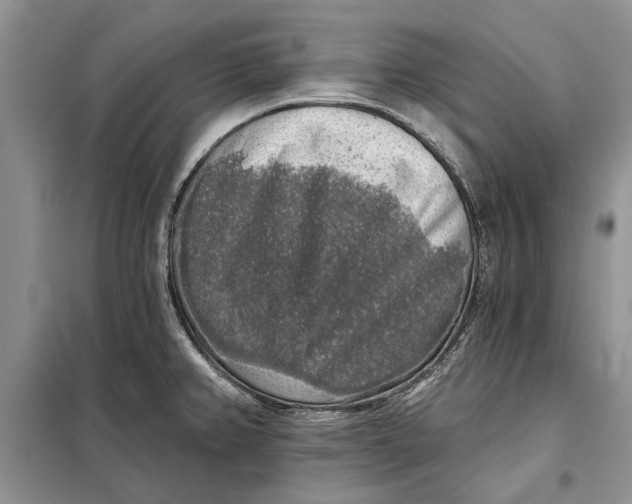 X0000098011382200804181123