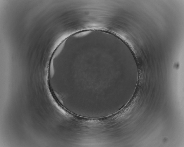 X0000098011383200804181123