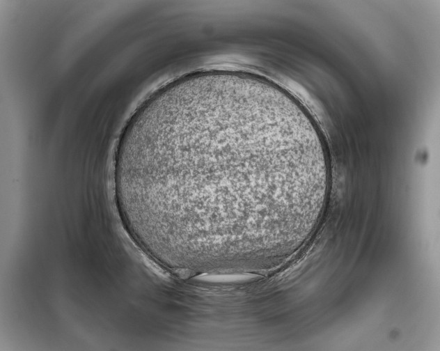 X0000098011384200804181123