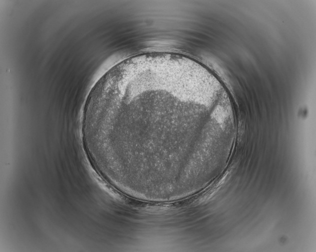 X0000098011386200804181123