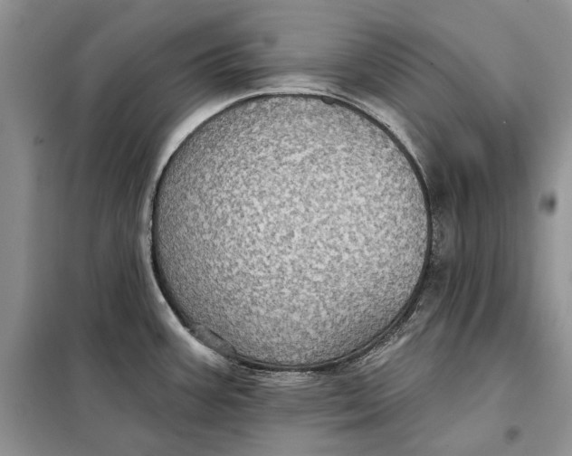 X0000098011387200804181123