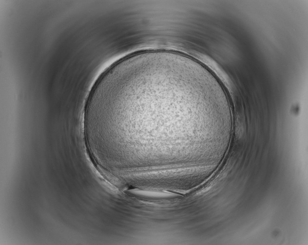 X0000098011388200804181123