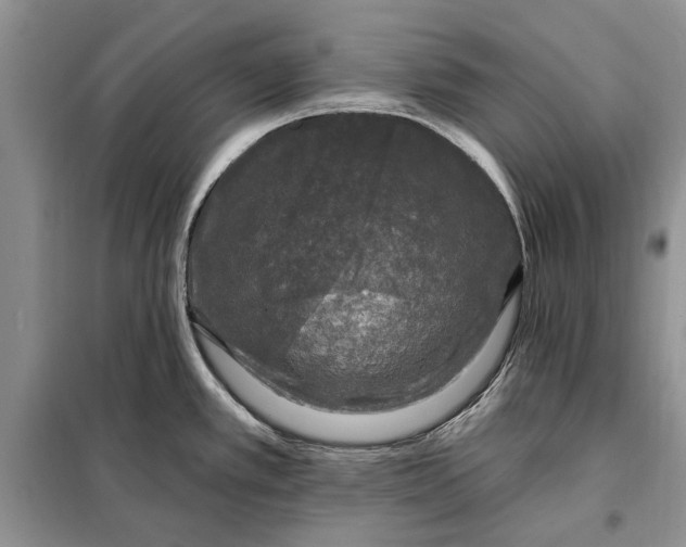 X0000098011389200804181123