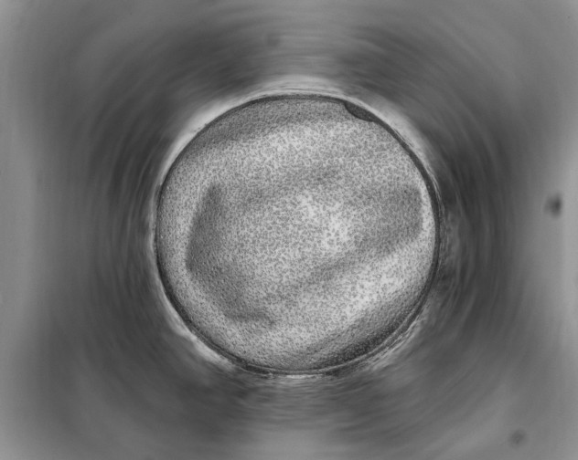 X0000098011390200804181123