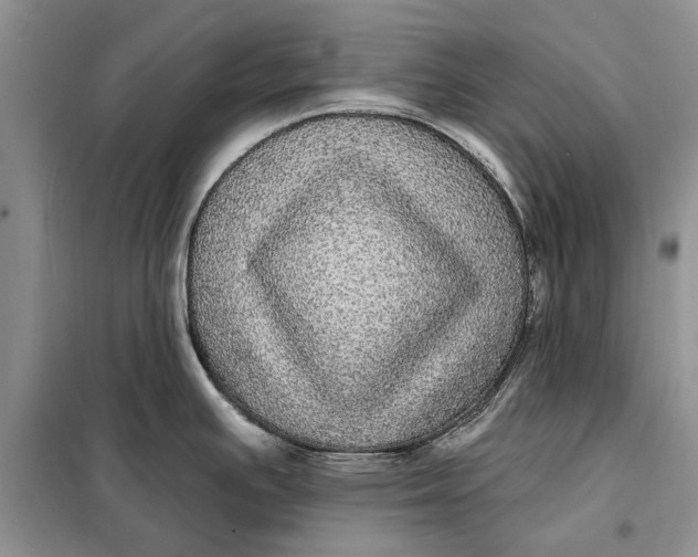 X0000098011391200804181123