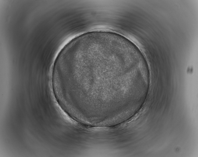 X0000098011392200804181123