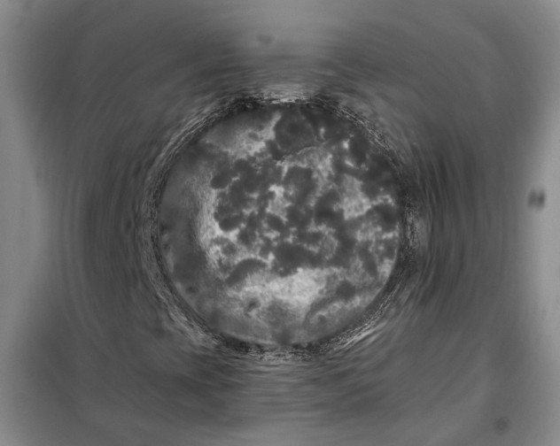 X0000098011393200804181122