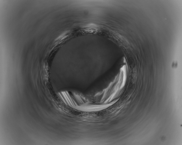 X0000098011394200804181123