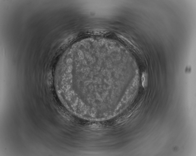 X0000098011395200804181123