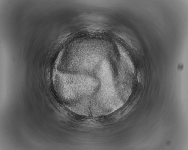 X0000098011396200804181123