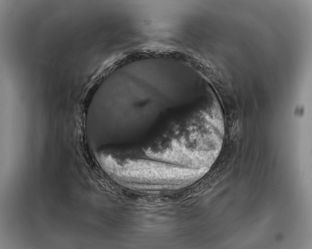 X0000098011397200804181123