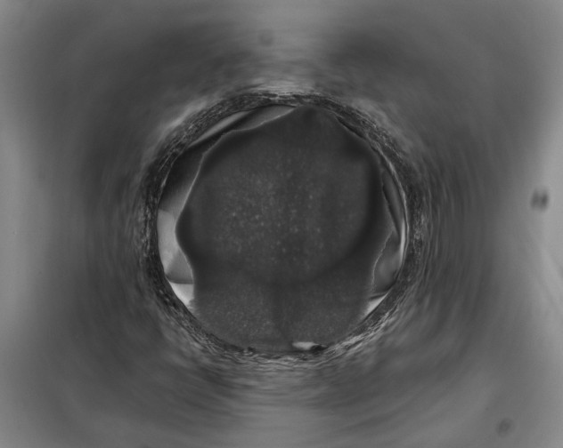 X0000098011398200804181123