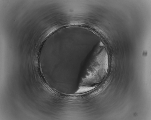 X0000098011401200804181123