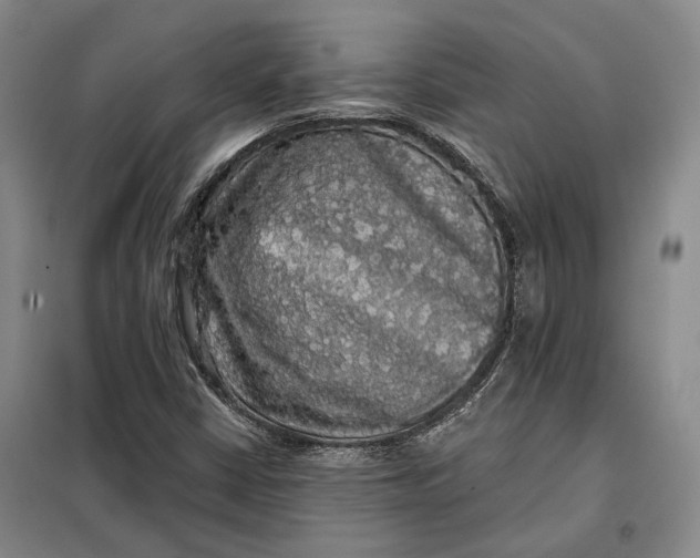 X0000098011402200804181123