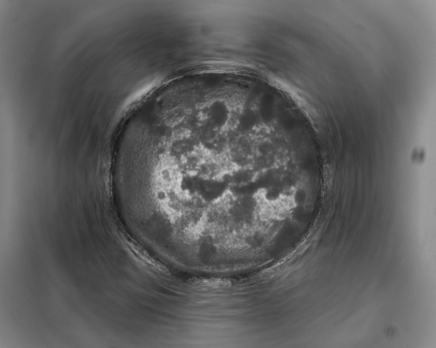 X0000098011403200804181123