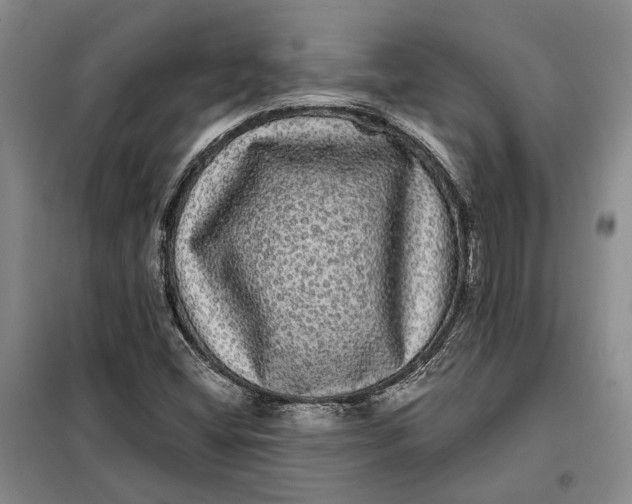 X0000098011404200804181123