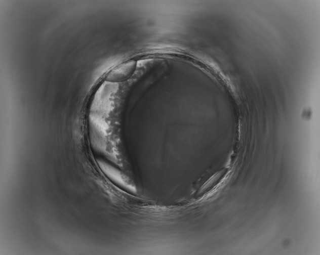 X0000098011405200804181123