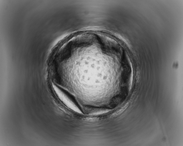 X0000098011406200804181123