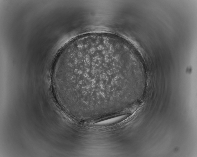 X0000098011407200804181123