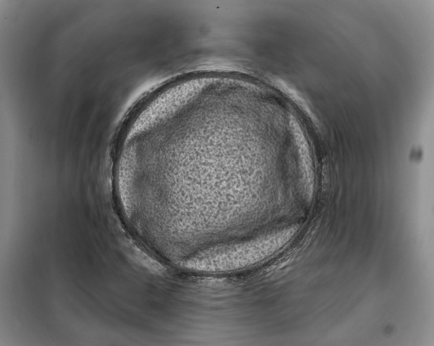 X0000098011408200804181123